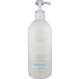 NAK Aromas Argan Smooth Shampoo 1L